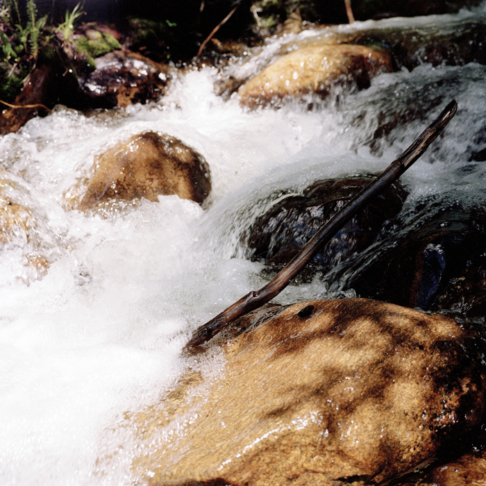 Brook in North America